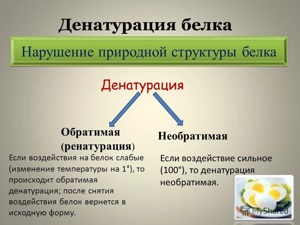 Нарушение природной структуры. Методы оценки ландшафта. Денатурация первичной структуры белка. Нарушение природной структуры. Нарушение природной структуры.