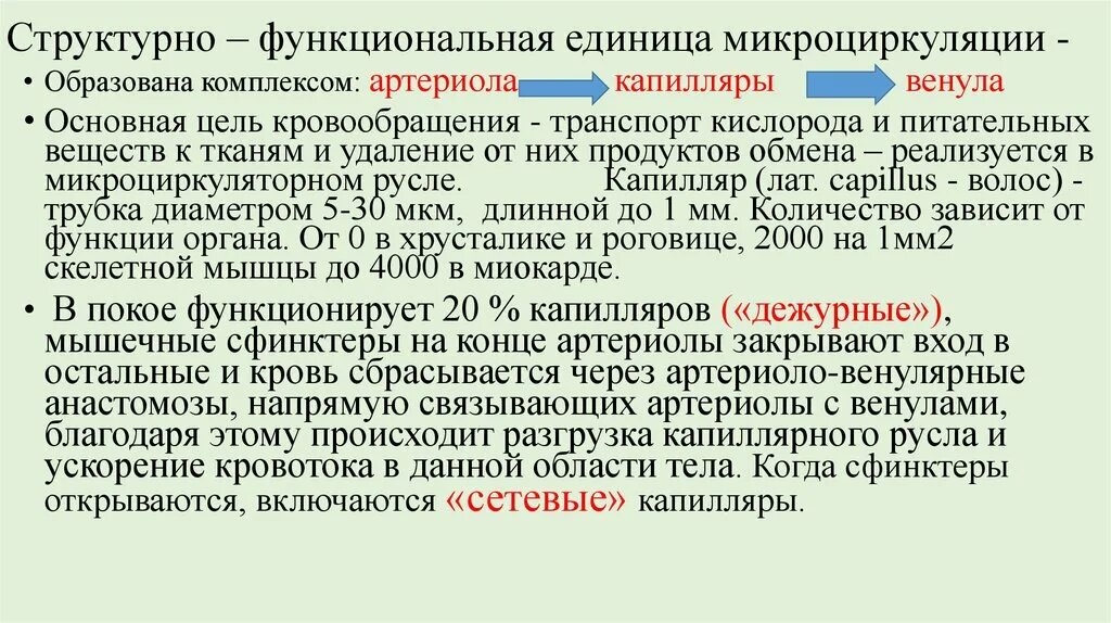 Функциональной единицей печени является. Структурно-функциональная единица микроциркуляции. Структурные единицы органов. Структурно функциональная единица органа. Структурная единица микроциркуляции.