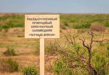 Заповедник черные земли в какой природной зоне