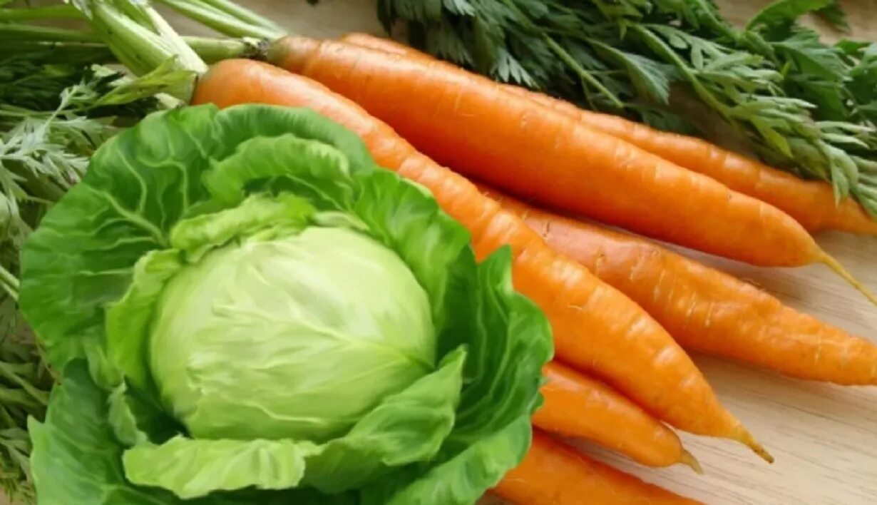 Капуста морковь лук чеснок. Капуста и морковь. Морковка и капуста. Овощи капуста. Свежие овощи.