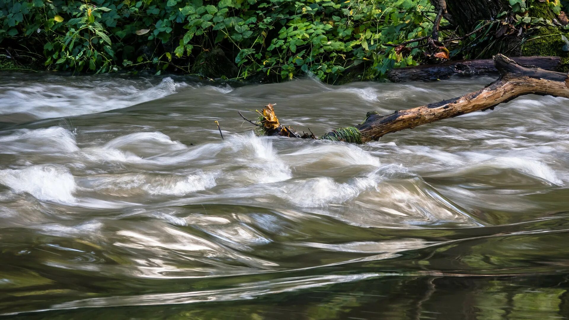 Урок река как водный поток 4 класс. Реки воды живой. Река поток живой воды. Ток воды в реке. Потоки энергии река вода.