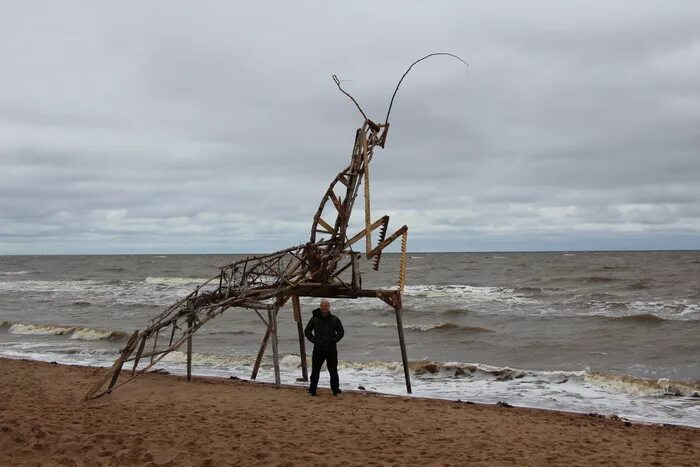 Тайбола фестиваль. Тайбола 2024 фестиваль. Северодвинск тайбола. Тайбола фото. Тайбола (станция).