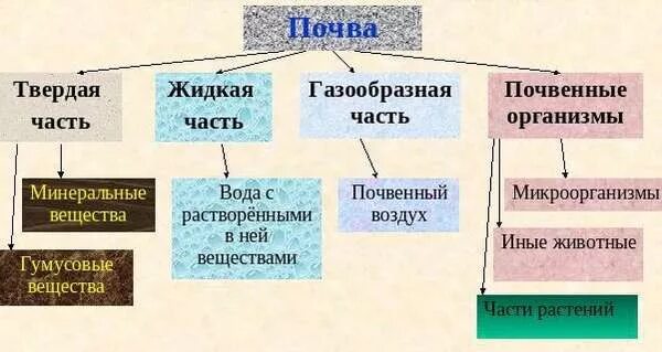 Органические свойства почвы. Составные части почвы. Минеральная часть почвы. Основные составные части почвы. Минеральная и органическая часть почвы.