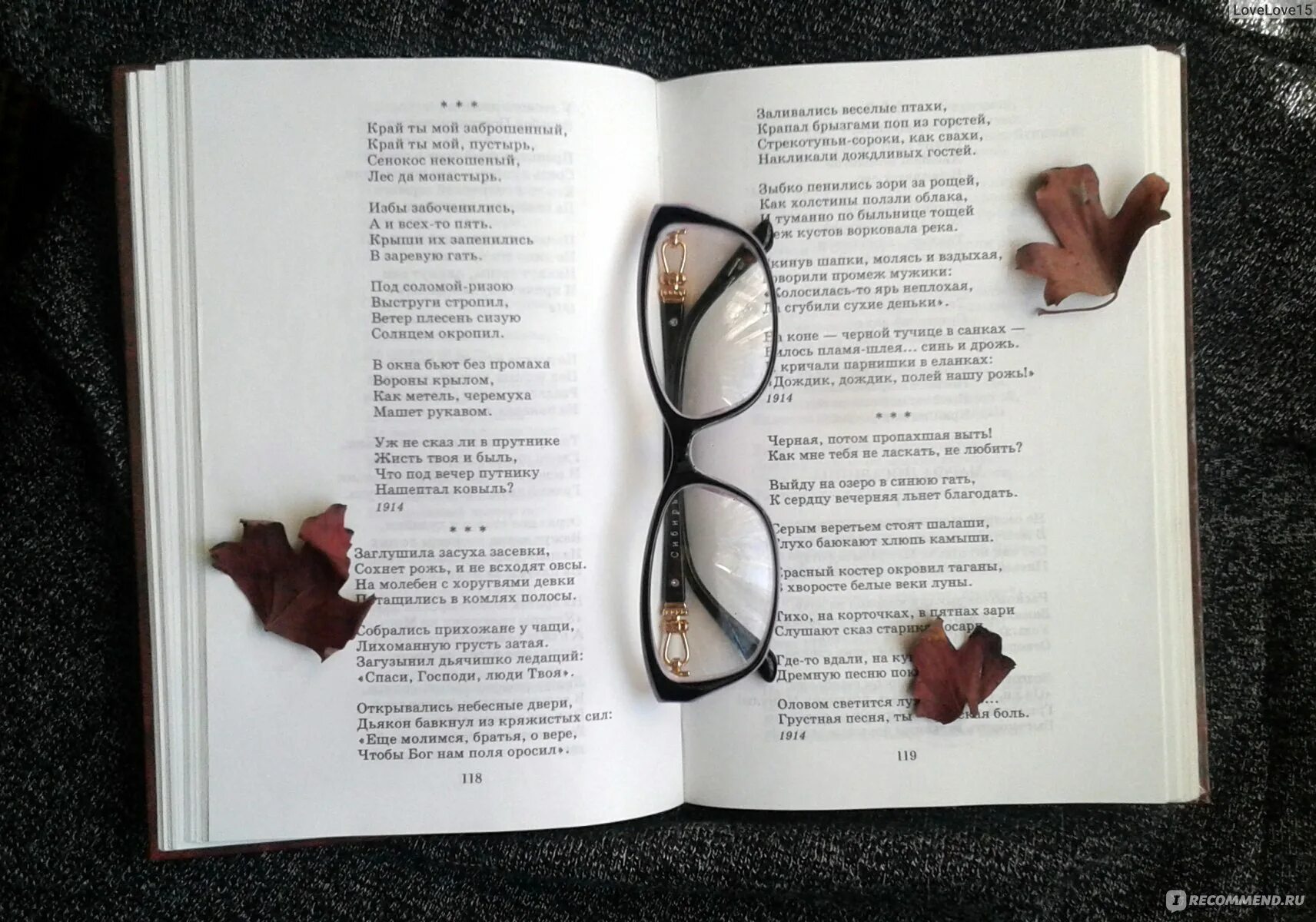 Равные читать книгу. Равные читать книгу