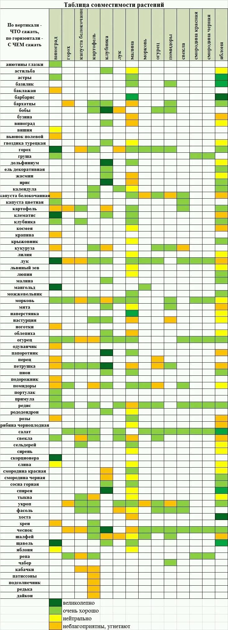 Соседство овощей на грядках таблица совместимости растений. Совместимость огородных растений на грядке таблица. Совместимость посадки овощей в огороде на грядках таблица. Таблица совместимости овощных культур при посадке на огороде. Таблица совмещенных посадок растений на грядке.