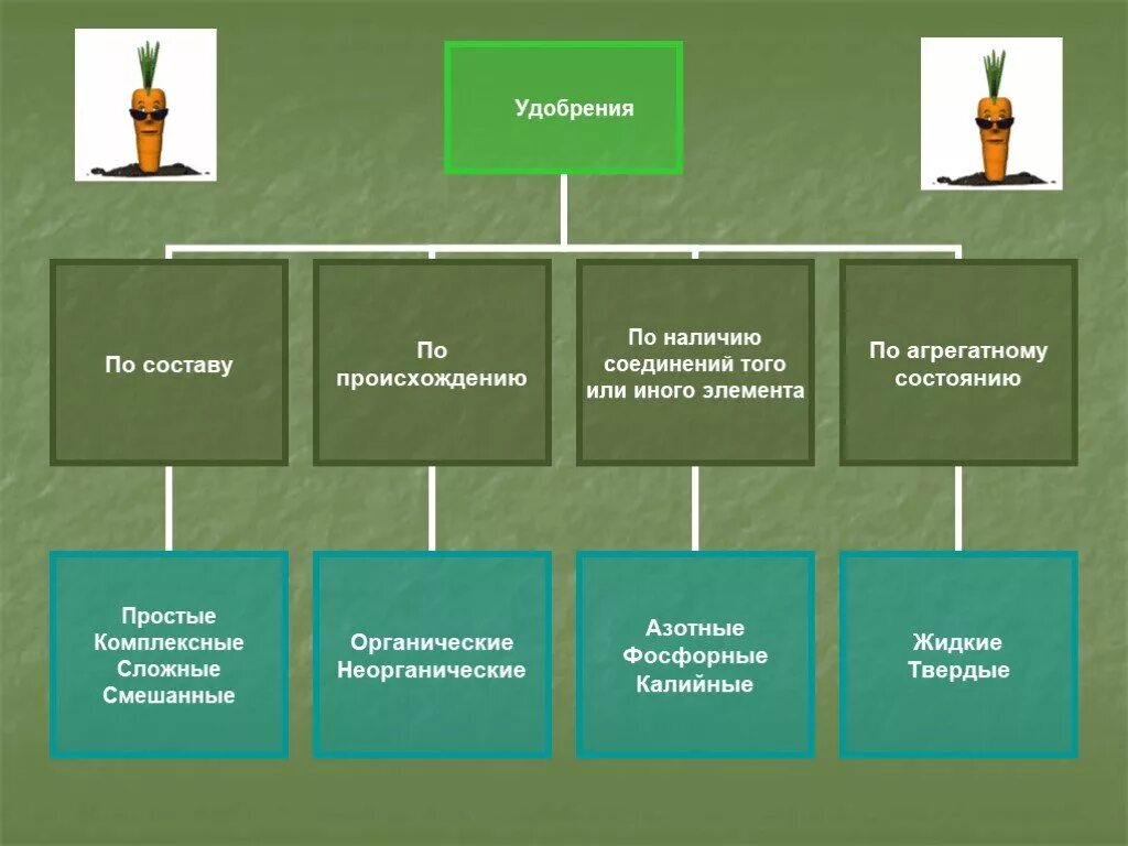 Классификация минеральных удобрений химия. Минеральные удобрения для почвы. Виды удобрений для растений схема. Группы удобрений для растений. Схема удобрения органические и минеральные.