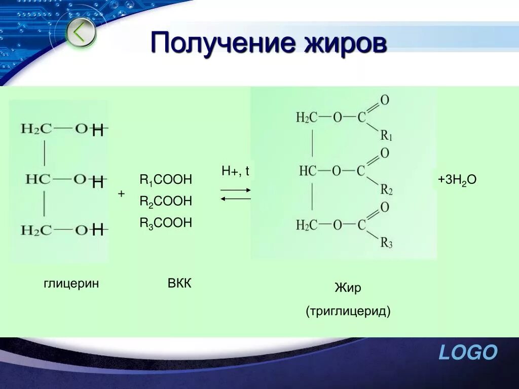 Кислотный гидролиз тристеарата. Жиры получение. Способы получения жиров. Получение жиров химия. Уравнение синтеза жира.