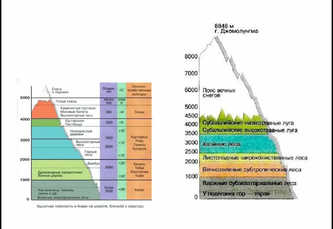 Различия высотной поясности в горах. Высотная поясность в горах Алтая. Природные зоны Кавказа Высотная поясность. Высотная поясность Гималаев. Высотная поясность Алтая, Кавказа, Урала.