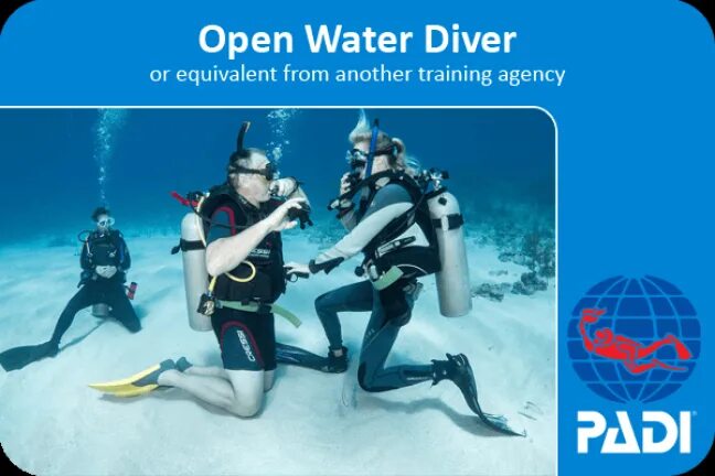 Padi open. Padi OWD сертификат. Open Water Diver сертификат. Padi open Water. Сертификат Padi open Water.