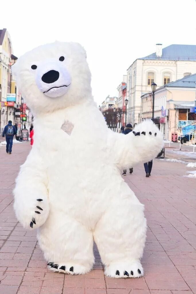 ростовой белый медведь поздравляет с днем рождения. мишка тедди ростова я кула. большой белый медведь ростовая кукла. мишка умка в инстаграмме. поздравительный медведь умка.