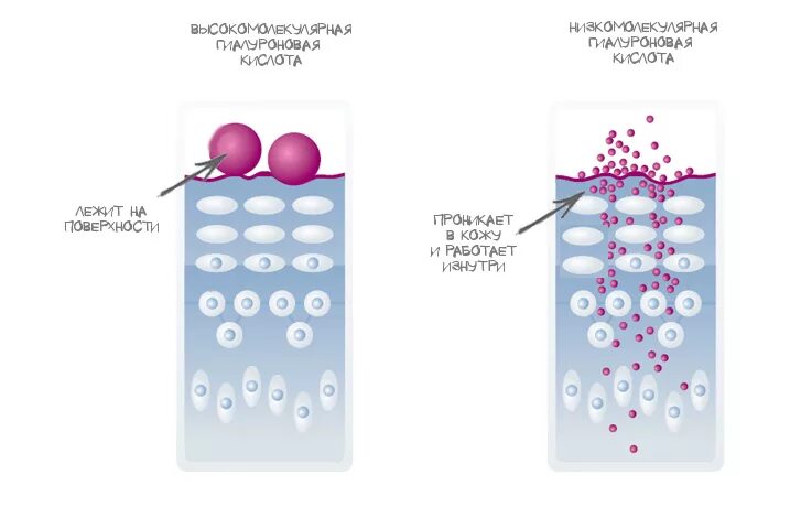 Гиалуроновая кислота что это такое. Высокомолекулярная гиалуроновая кислота. Макромолекулярная гиалуроновая кислота. Низкомолекулярная гиалуроновая кислота. Схема молекула гиалуроновая кислота.