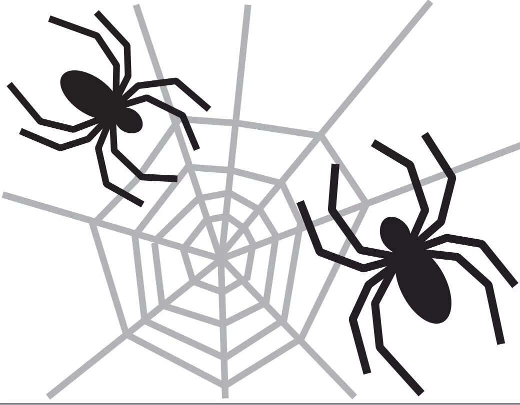 трафареты для 3д ручки. Halloween black spider cobweb. паук черно белый. паук 3d. паук для вырезания.