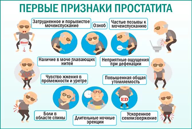 Может ли простата