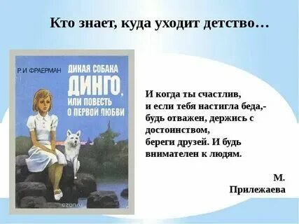 Содержание дикой собаки динго