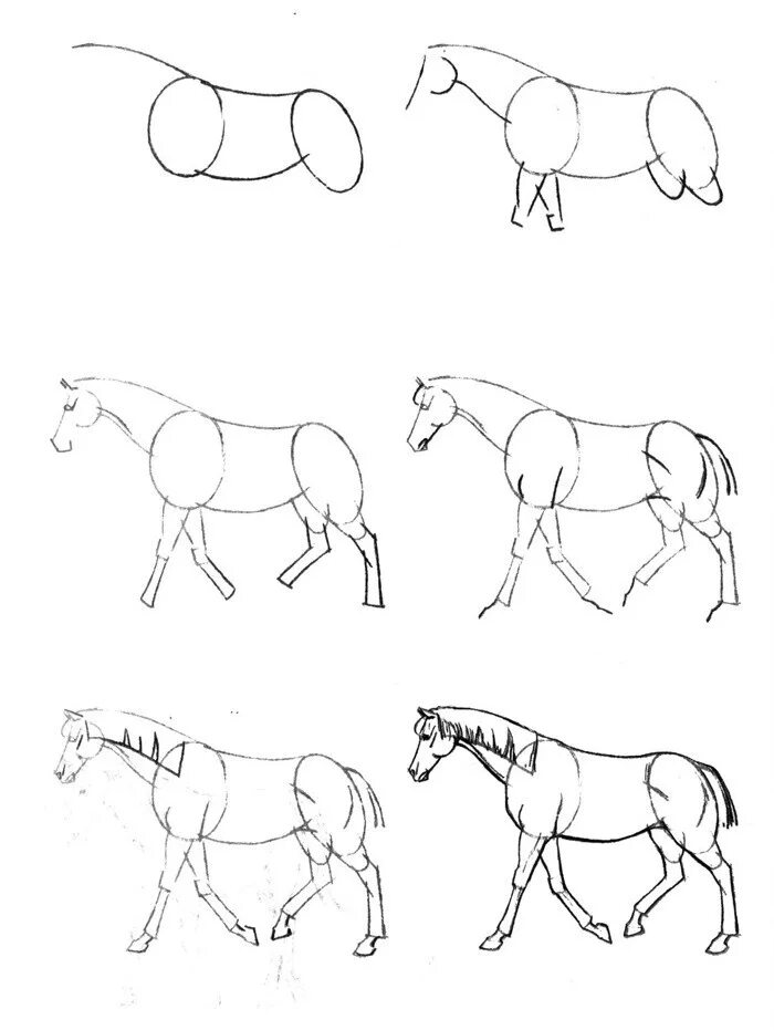 Лошадь рисунок. Лошадь рисунок карандашом. Пошаговое рисование лошади. Простые рисунки для начинающих.