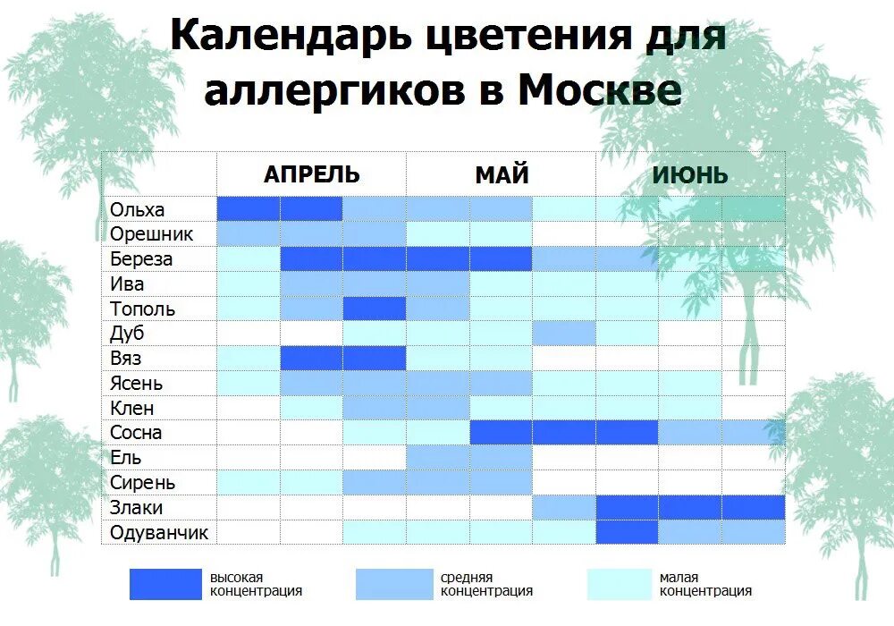 Календарь цветения для аллергиков 2024. Календарь цветения для аллергиков Московская область. Таблица аллергии на цветение. Период цветения деревьев. Календарь цветения для аллергико.