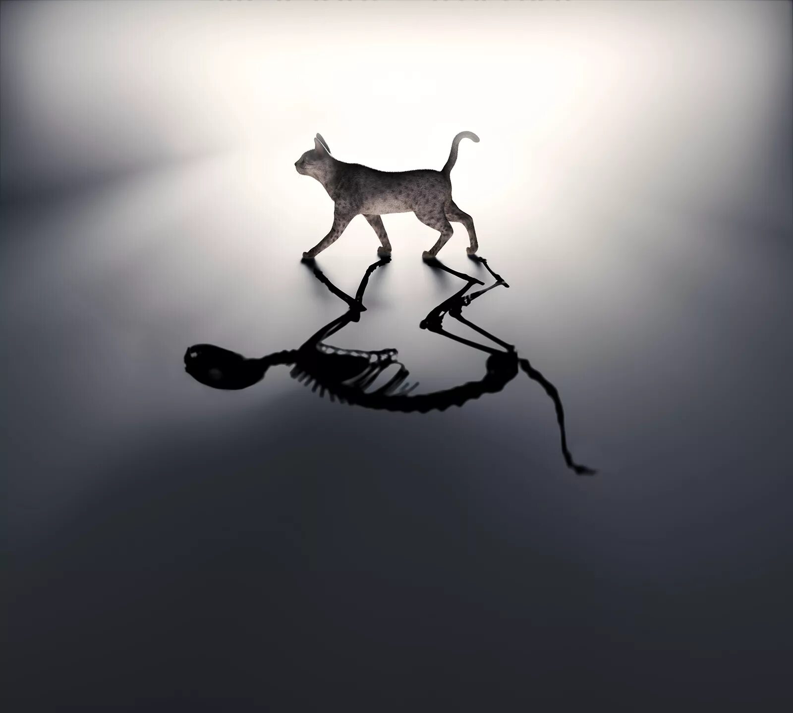 Кот квантовая физика. Кот шрёдингера. кошка шредингера. кот шредингера арт. кот шредингера суперпозиция.