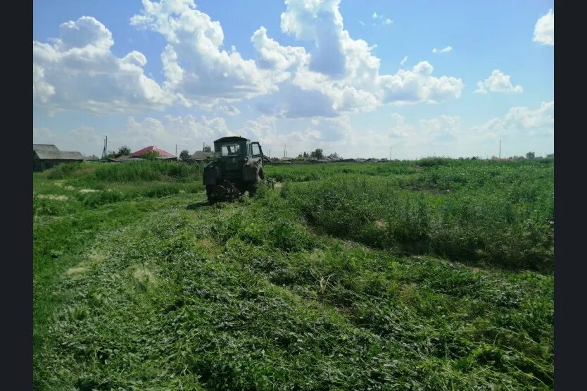 Погода зубовка новосибирская. Погода зубовка новосибирская. Погода зубовка новосибирская. Погода зубовка новосибирская. Погода зубовка новосибирская.