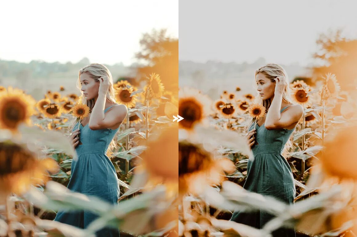 пленочные пресеты