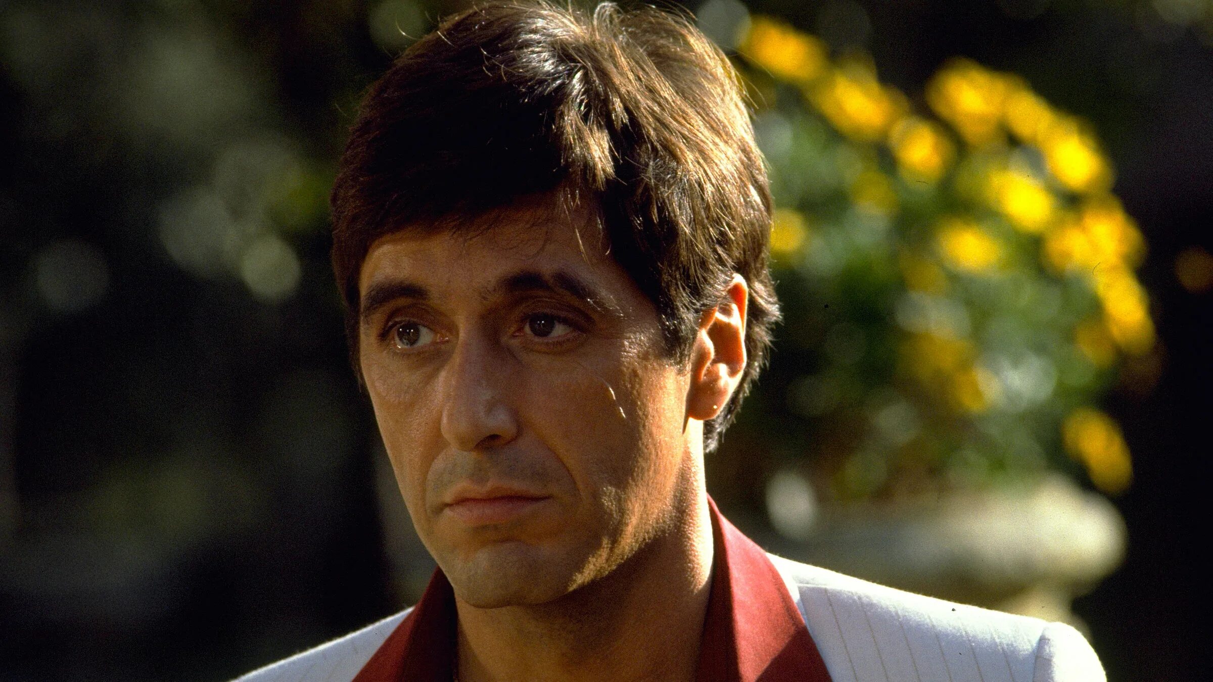 Айльпачино Тони Монтана. Аль Пачино 1983. Аль Пачино Scarface. Tony Montana Scarface. Тони монтана это