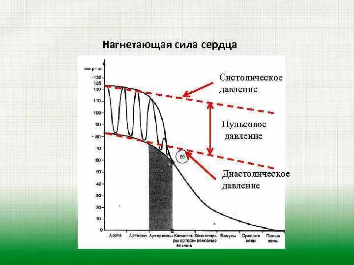 Нагнента.ющая сила сердца это. Сердечная сила это. Систолическое диастолическое и пульсовое давление. Мощность сердца.