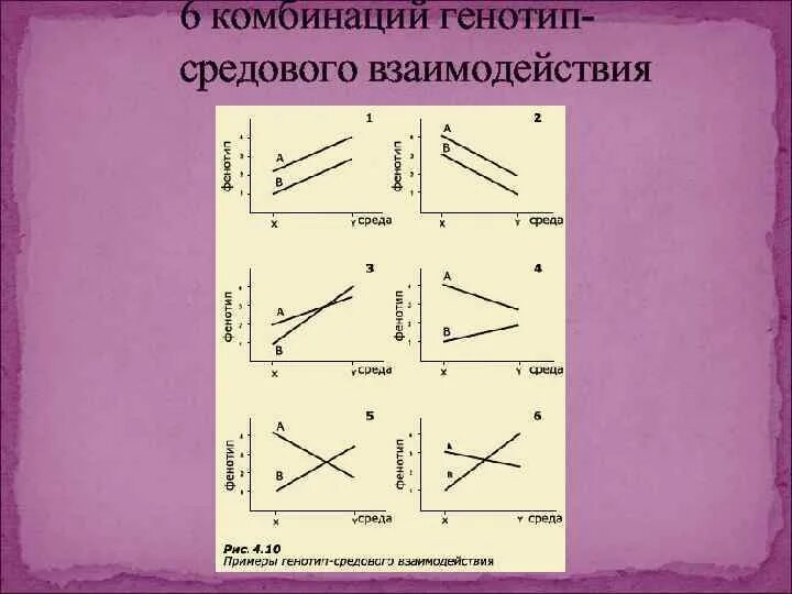 Генотип друзей. Генотип средовые взаимодействия. Примеры генотип-средового взаимодействия. Генотип-средовое взаимодействие график. Взаимодействие генотип среда примеры.