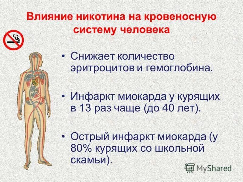 Влияние никотина на организм человека. Влияние никотина на нервную систему человека. Н еотин влияние на нервную систему. Влияние никотина на кровеносную систему.