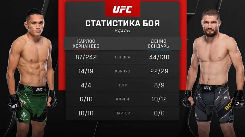 шовхал чурчаев. статистика боев шовхала. чурчаев шовхал боец. шовхал перс. кто выиграет бой шовхал или перс.