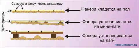 Пол 15 запись