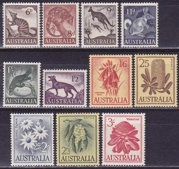 марк имя для мальчика. составные элементы бренда. марк надпись.