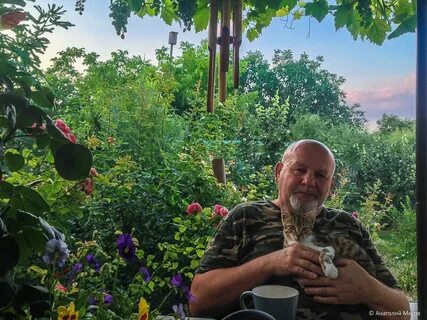 Дневник отчаянных пенсионеров на дзен публикации последние