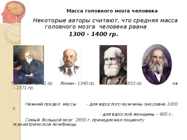 Вес мозга Толстого Льва. Тургенев масса мозга. Масса мозга известных людей. Вес мозга знаменитых людей.