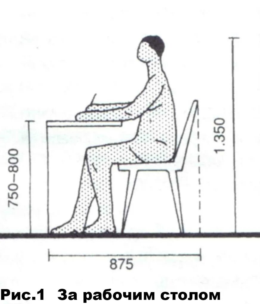 Пространство занимаемое человеком при различных положениях. Ширина лестницы эргономика. Эргономика коридора в квартире. Нойферт антропометрия человека. Эргономика человека в положении стоя.