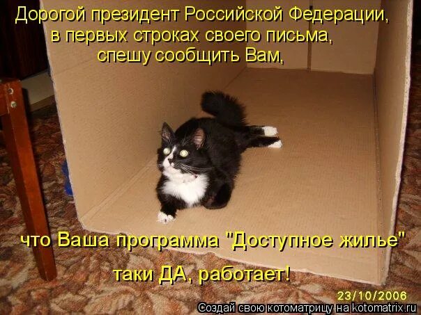 здравствуйте здравствуйте здравствуйте вам. баннер с переходом. стих здравствуйте. спешу сообщить. спешу уведомить тебя душа тряпичкин текст 25.