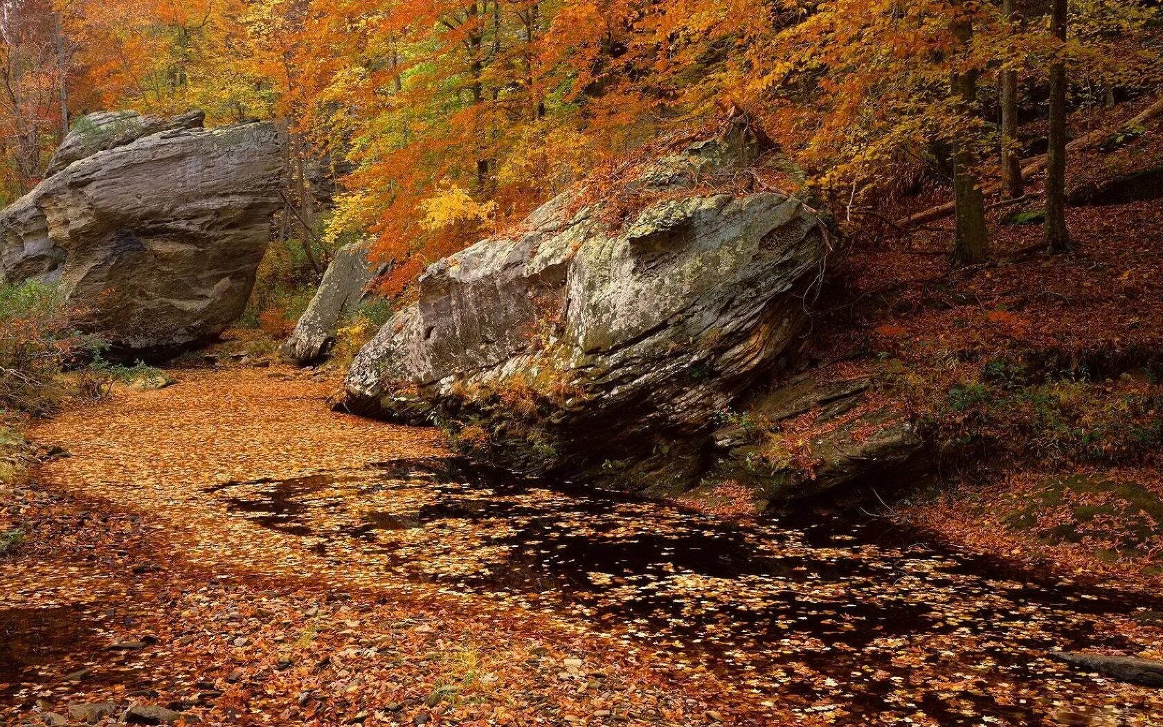 Natural fall. Национальный лес Шоуни Иллинойс. Скалы осень. Осенний камень. Камень в осеннем лесу.