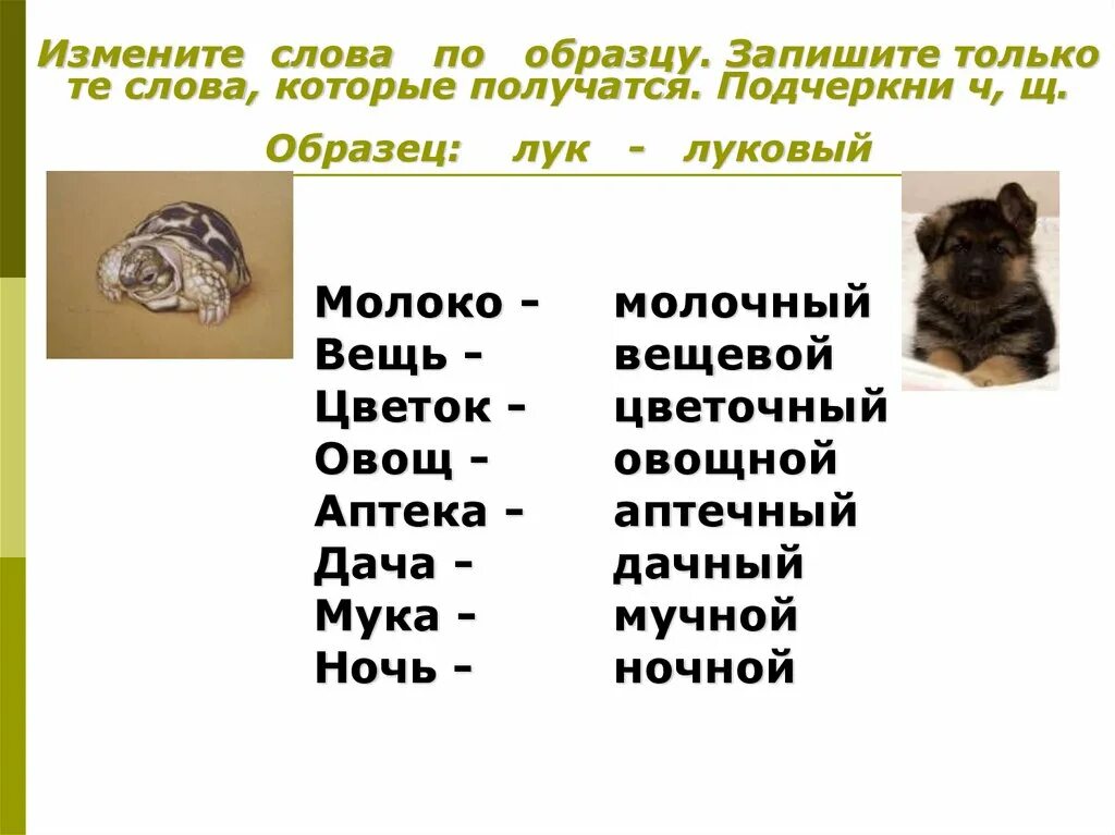 Записать изменяя слова по образцу. Изменить слова по образцу ночь. Изменить слова по образцу ночь-ночной. Измените слова по образцам и запишите. Измени слова по образцу ночь ночной.