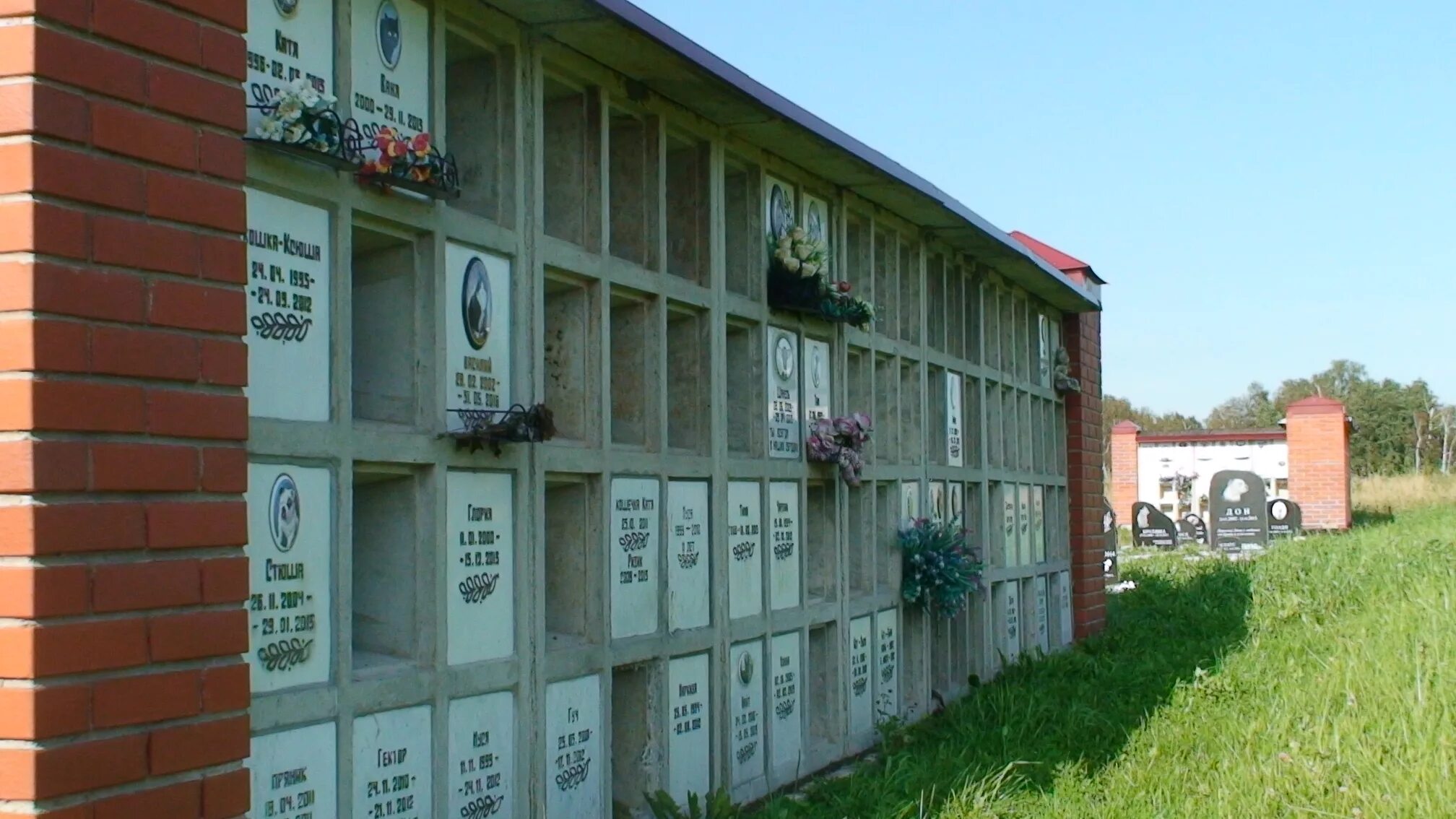 Городское кладбище животных Санкт-Петербург. Городское кладбище животных в СПБ. Колумбарий кладбища домашних животных. Кладбище домашних животных Электропультовцев 9. Кремация собаки спб цена