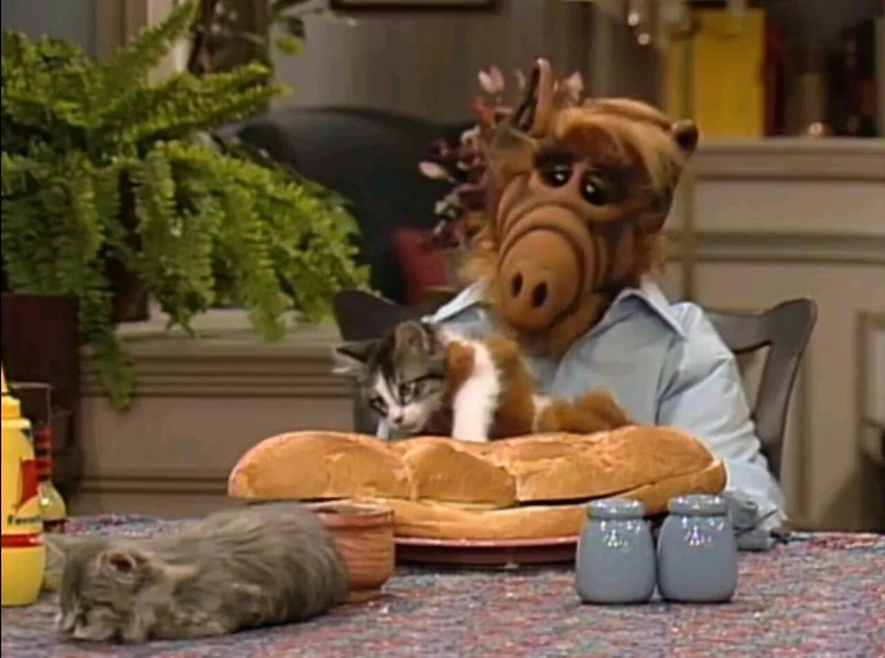 Alf 1986. Alf (альф), 1986–1990. Альф откуда альфа. Альф откуда альфа. Альф откуда альфа.