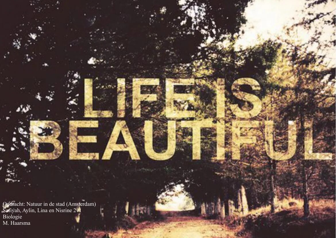 Beautiful Life картинки. Надпись Life is. Life is beautiful картинки. Life is beautiful надпись.