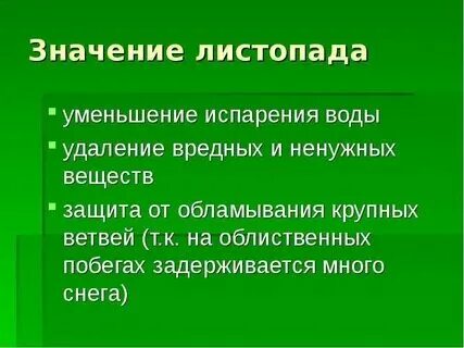 Какое значение спор в жизни растений