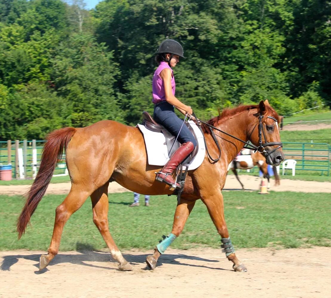 Answer ride. Rideing или riding. Хорс райдинг спорт Финляндия. Equestrian Training ground набор. Натуральный хорсменшип.