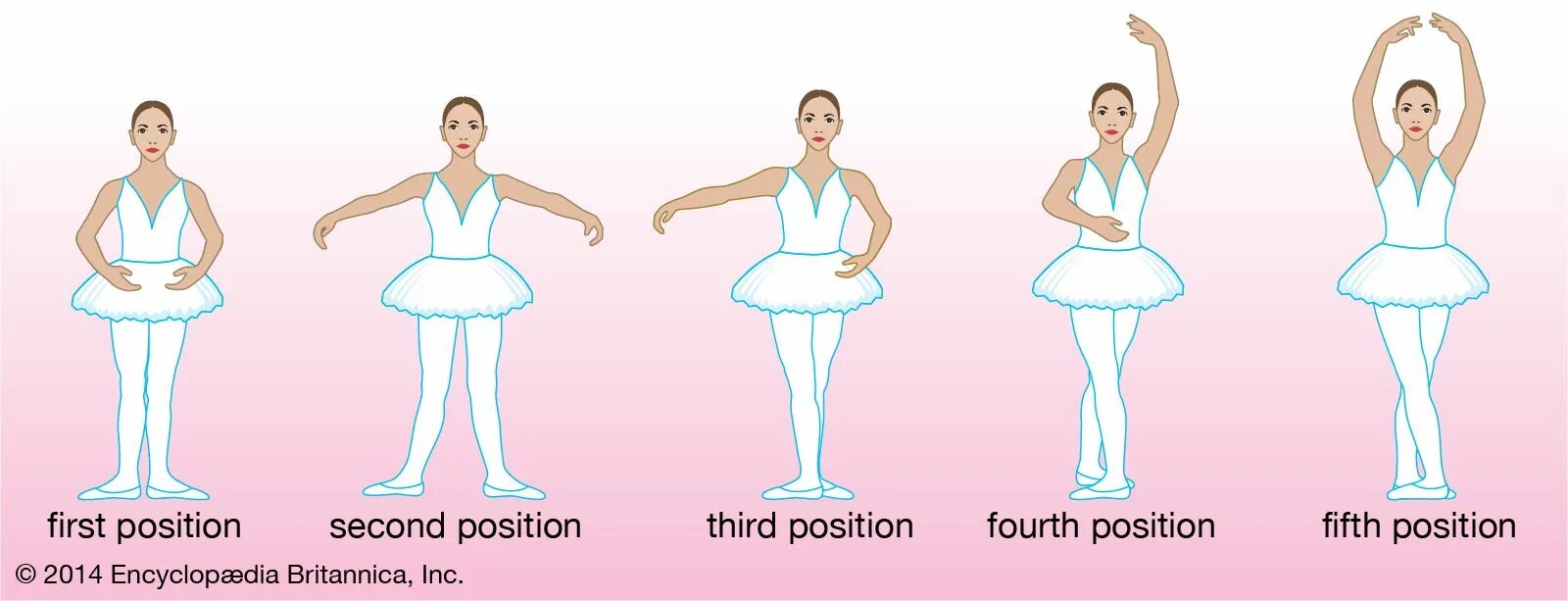 Позиция б. Первая позиция рук в хореографии. Балерина позиции ног. Позиции в балете. Позиции ног в хореографии.