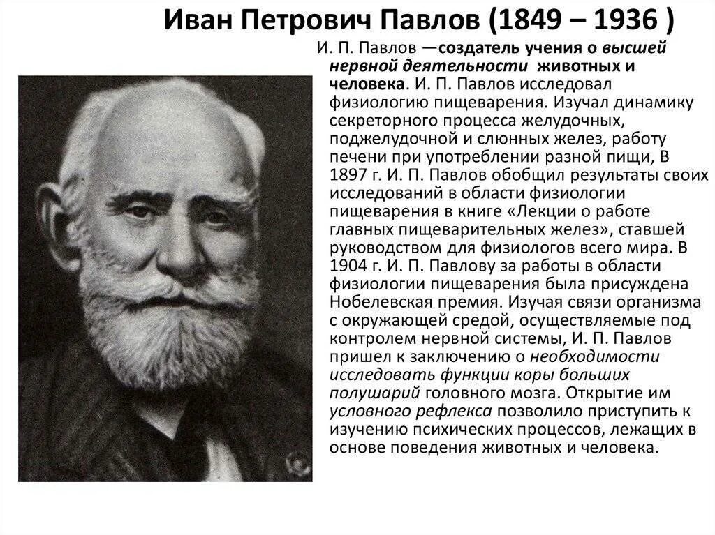 Наука о высшей нервной деятельности