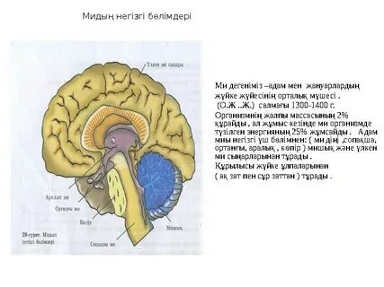 45 жастағы әйелдің онлайн порносы