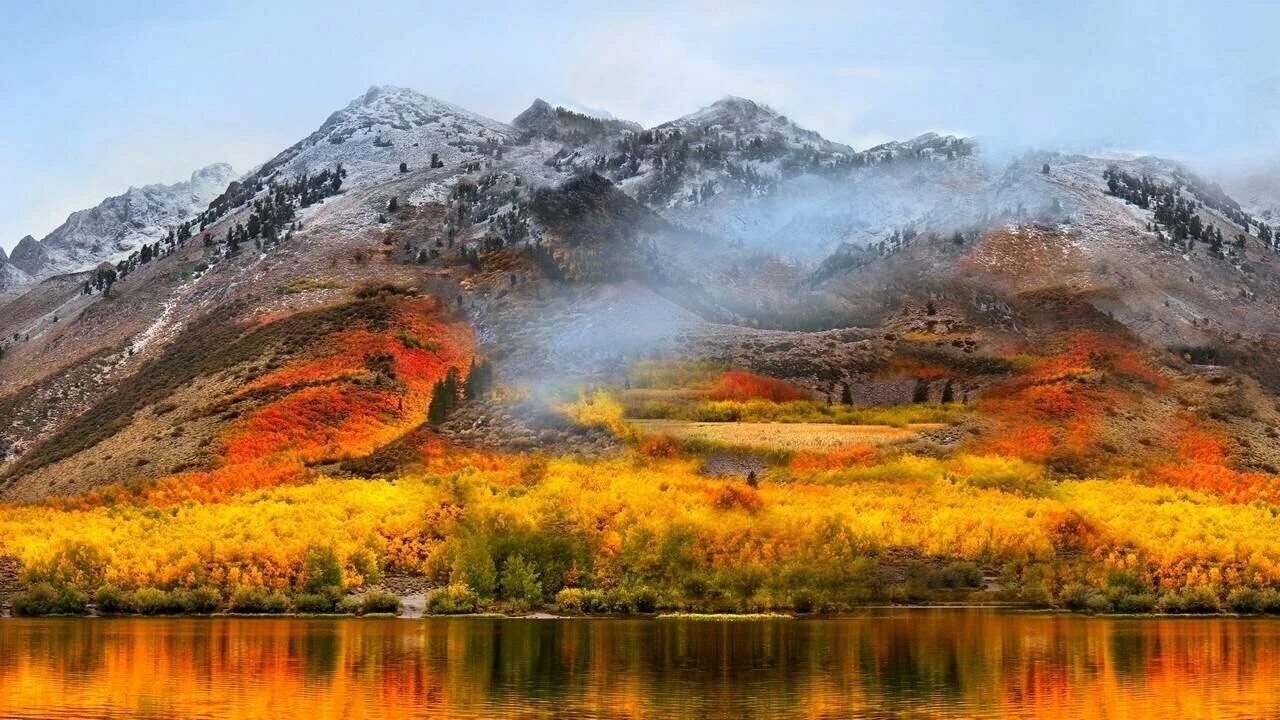 Кустарники на горе. Сахалин сопки осень. Горы осенью. Природа монголии пейзажи фото. Долгие горы осенью.