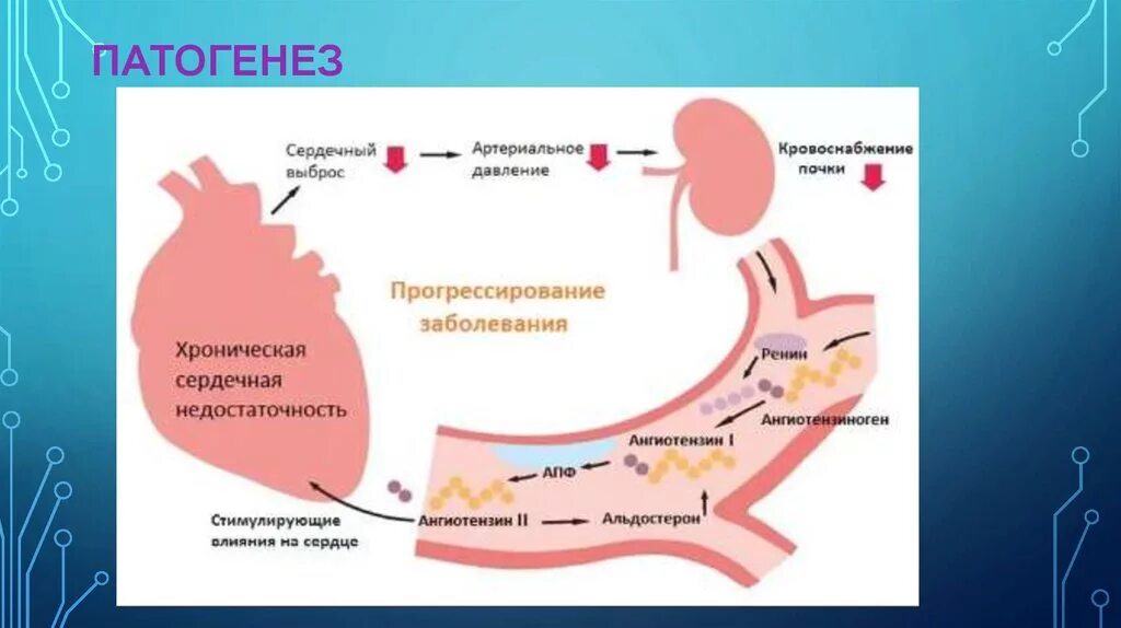 Сердечная недостаточность схема. Патогенез плацентарной недостаточности. Патогенез фетоплацентарной недостаточности. Плацентарная недостаточность этиология и патогенез. Патогенез хронической сердечной недостаточности.