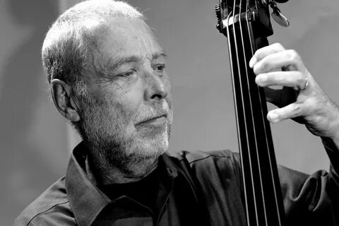 Dave holland