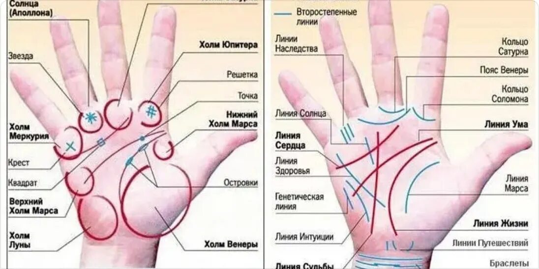 Определить заболевание по рукам. Треугольник на Холме Нептуна хиромантия. Магические символы на Холме Нептуна. Хиромантия линии на Холме Нептуна. Обозначение линий на ладони правой руки.