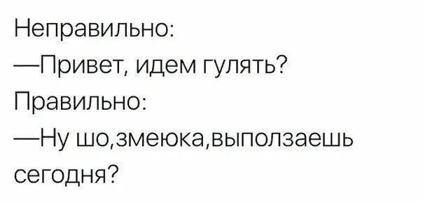 Как заставить человека идти. Как уговорить девушку пойти гулять. друзья зовут гулять. как заставить друга выйти погулять. подруга зовет гулять.