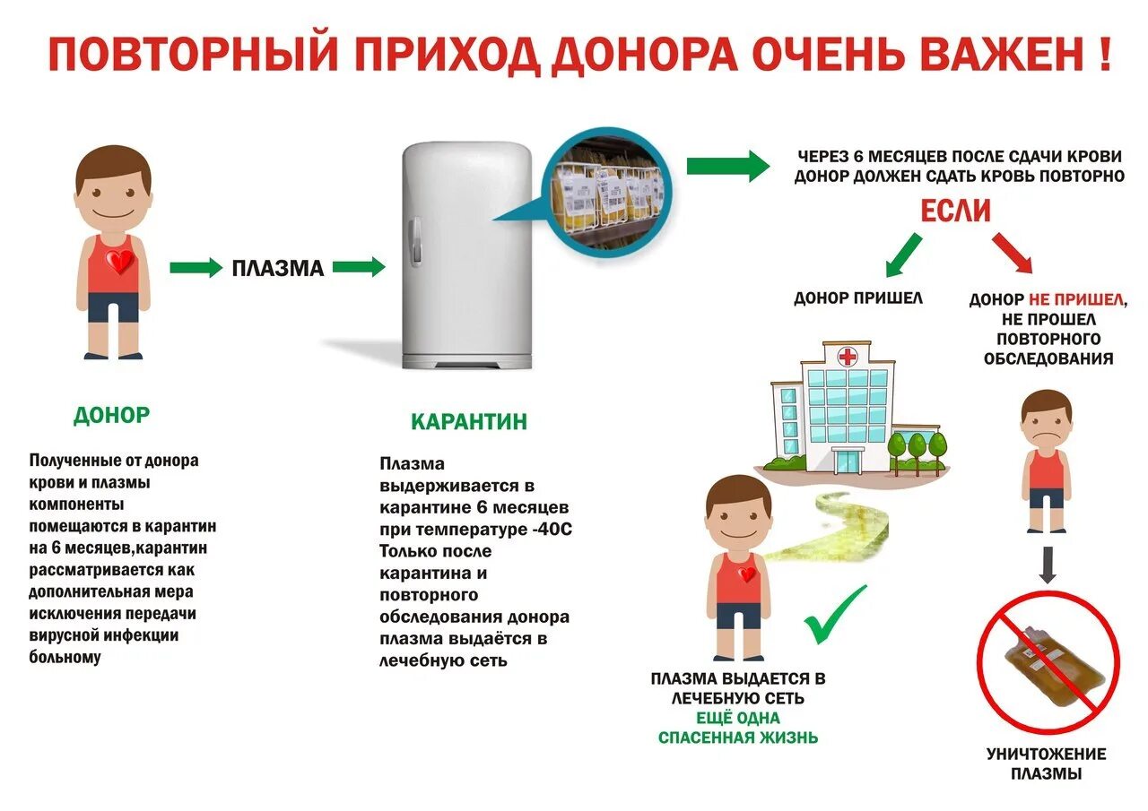 Повторный приход донора очень важен. Доноры плазмы для лечения коронавируса. Донор плазмы польза. Карантинизация плазмы. Как стать донором плазмы.